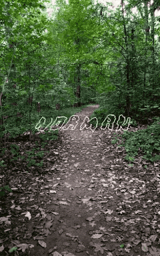 normangif2.gif