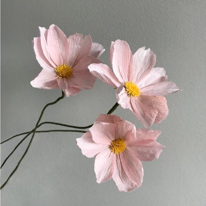 Get her a colorful bouquet of flowers that’ll never die from The Striped Petal .