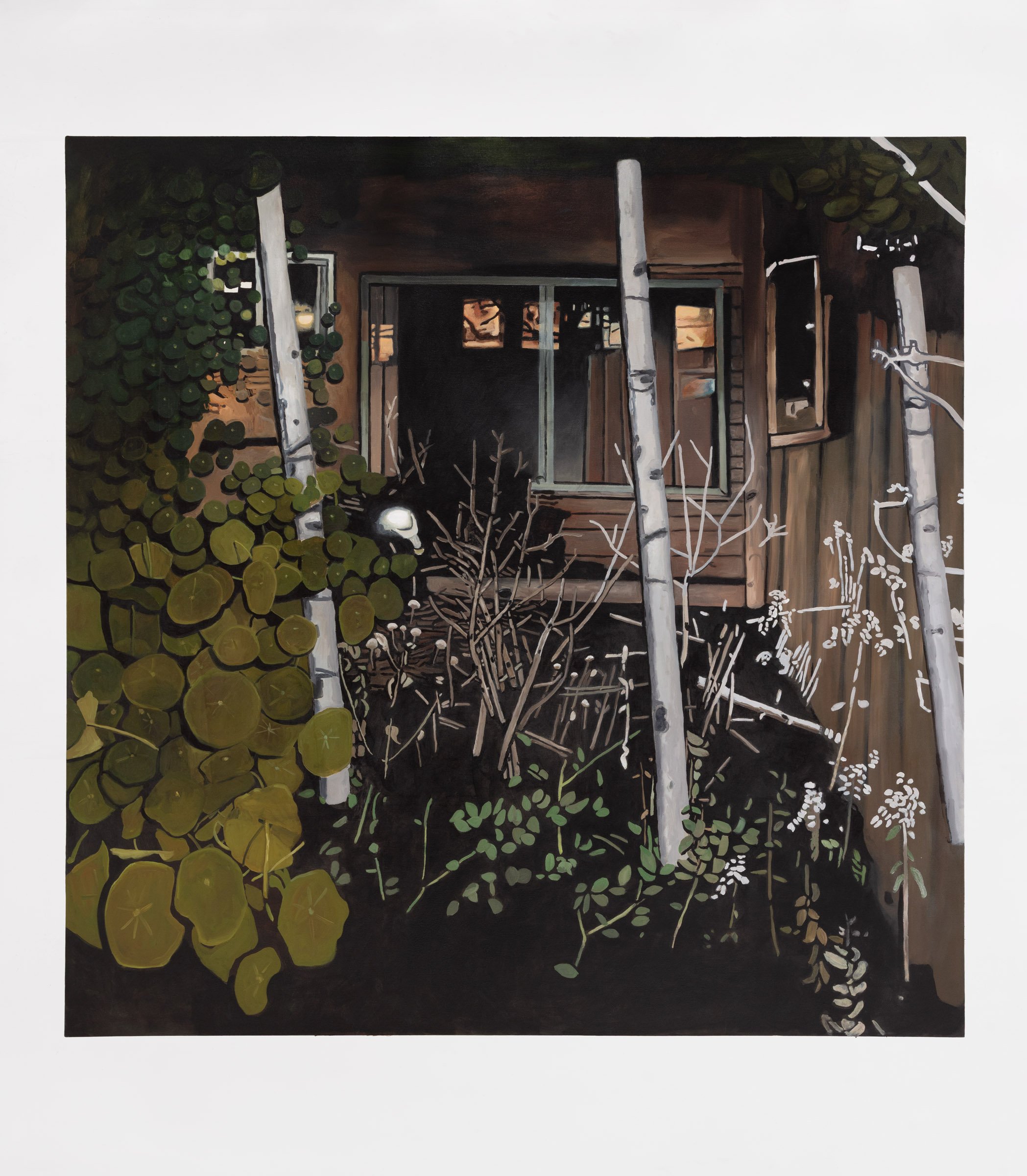 Window 