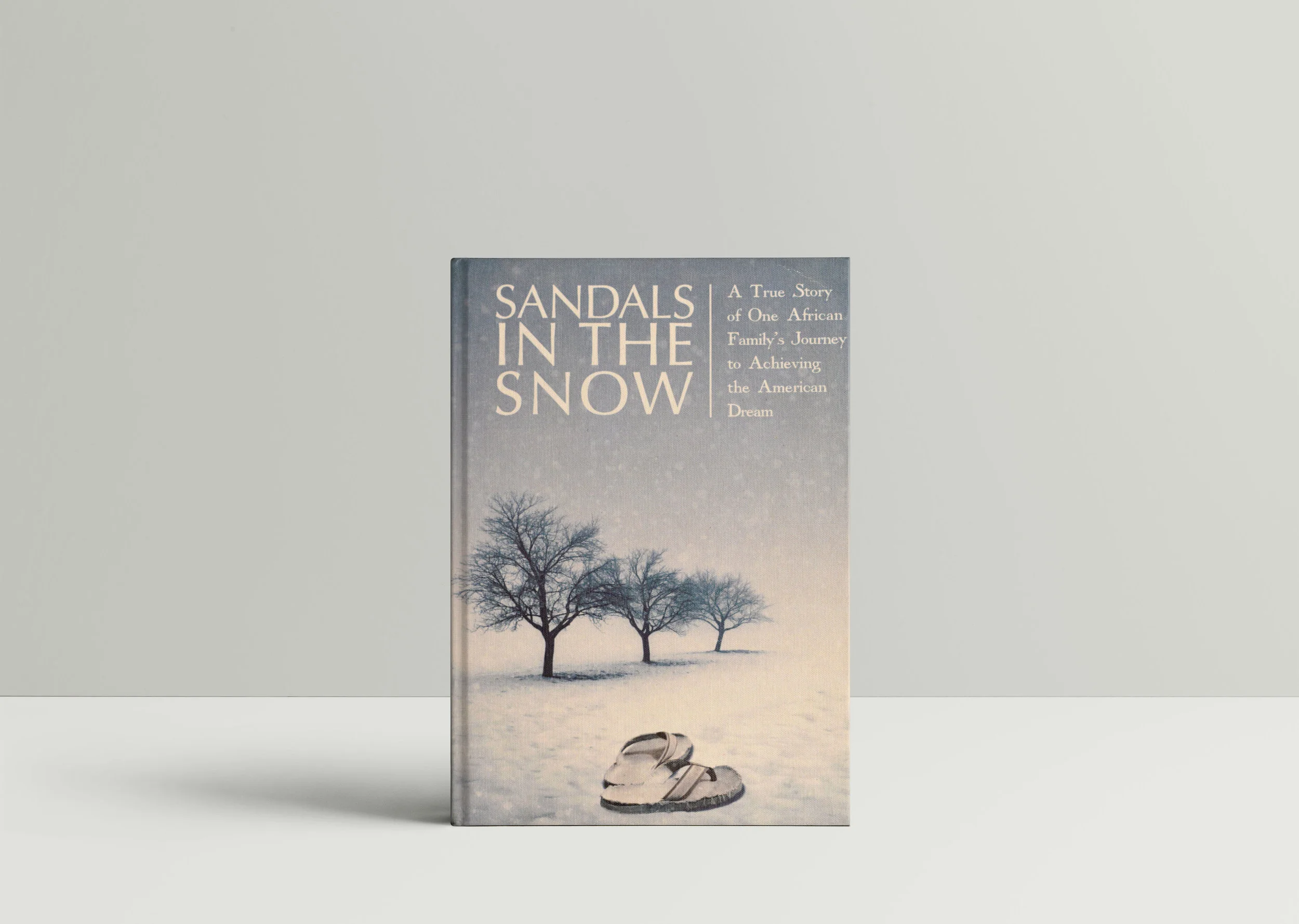 Hardcover Book MockUp 1.jpg