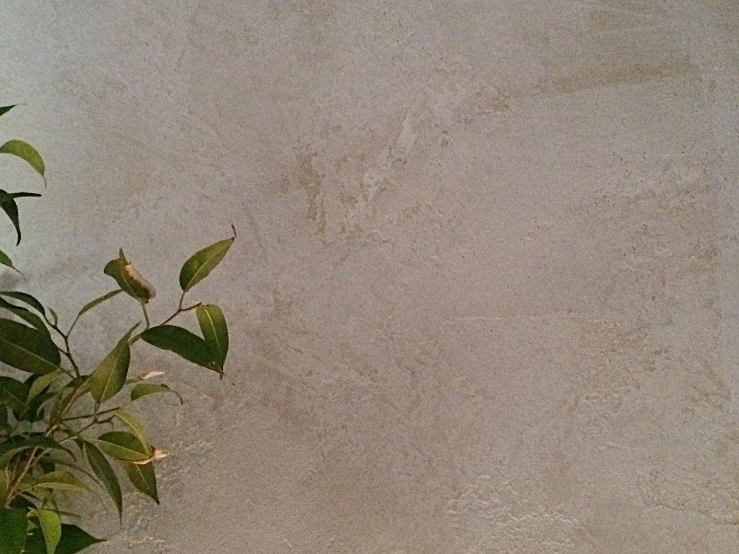 Waxed Italian Plaster