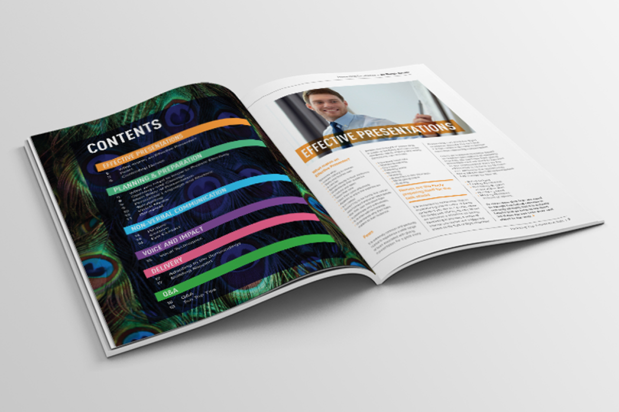 deBurghGroup_InDesign5.jpg
