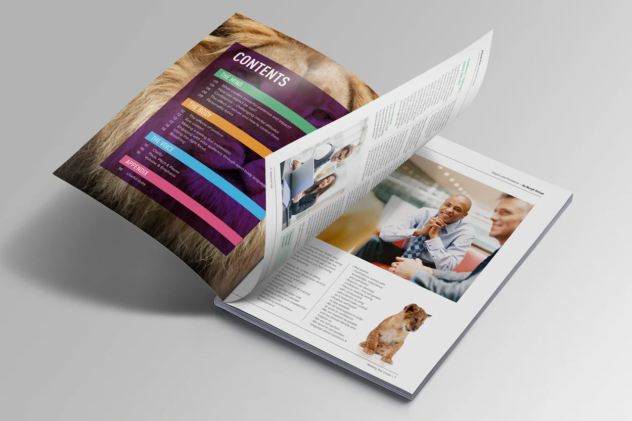 deBurghGroup_InDesign12.jpg