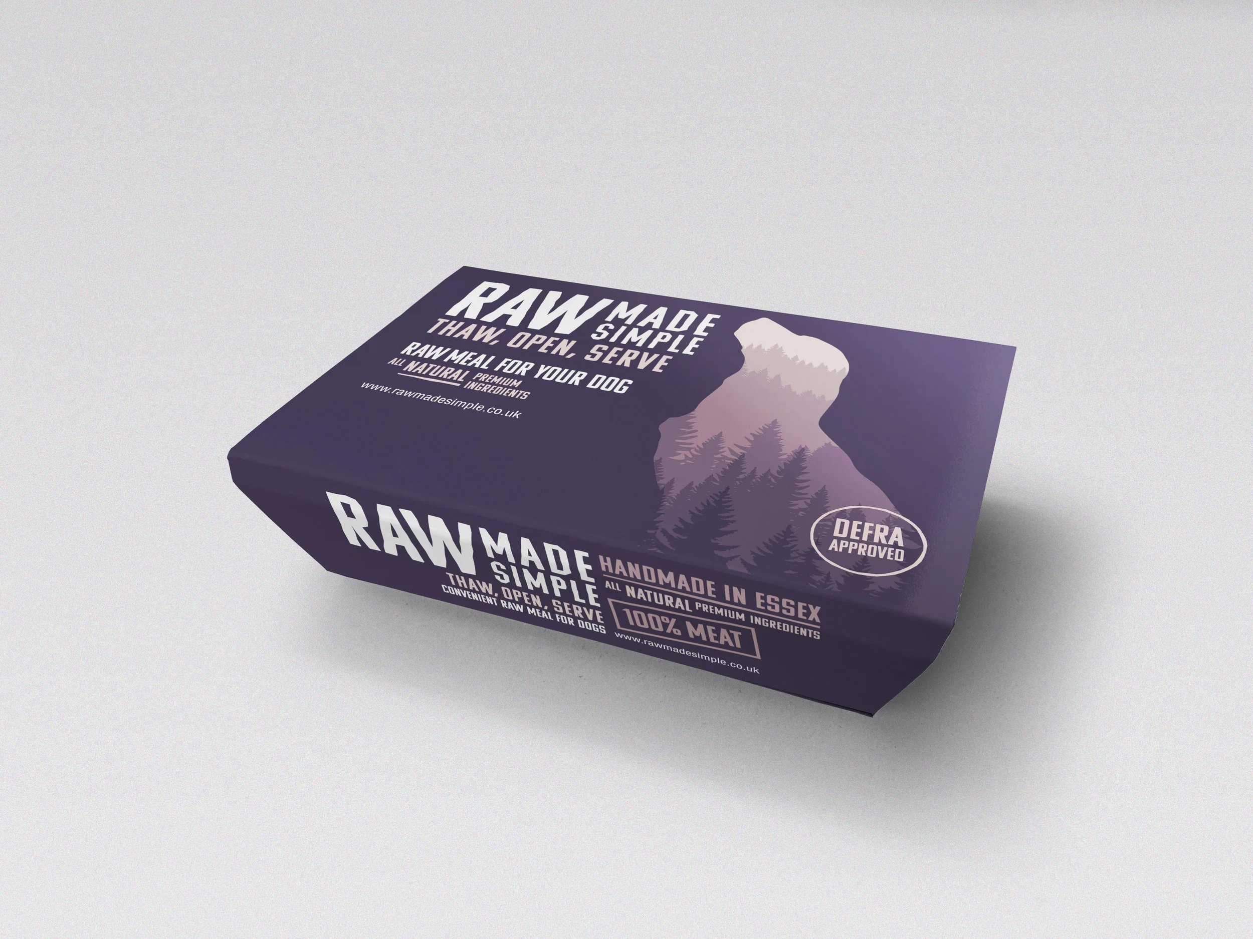 Raw Made Simple_2019 sleeve_Mock up 2.jpg
