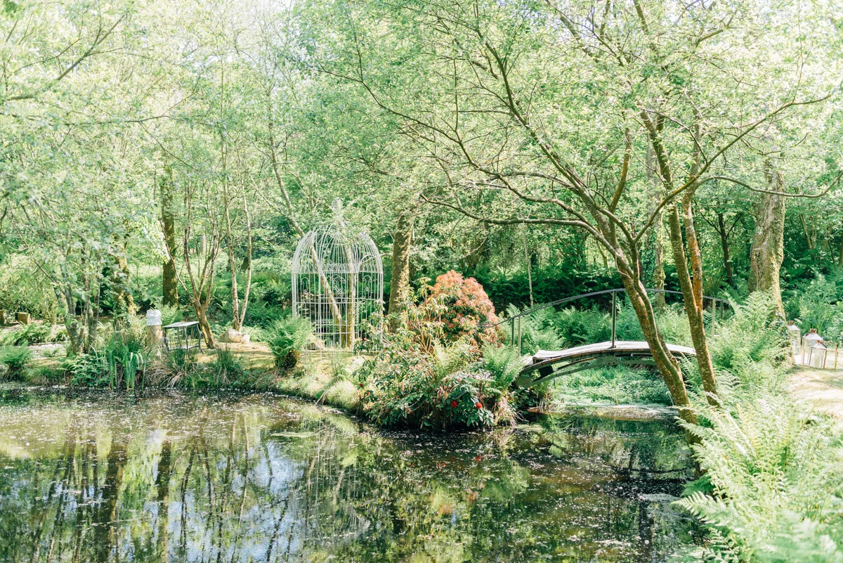 DSC_1555.jpg