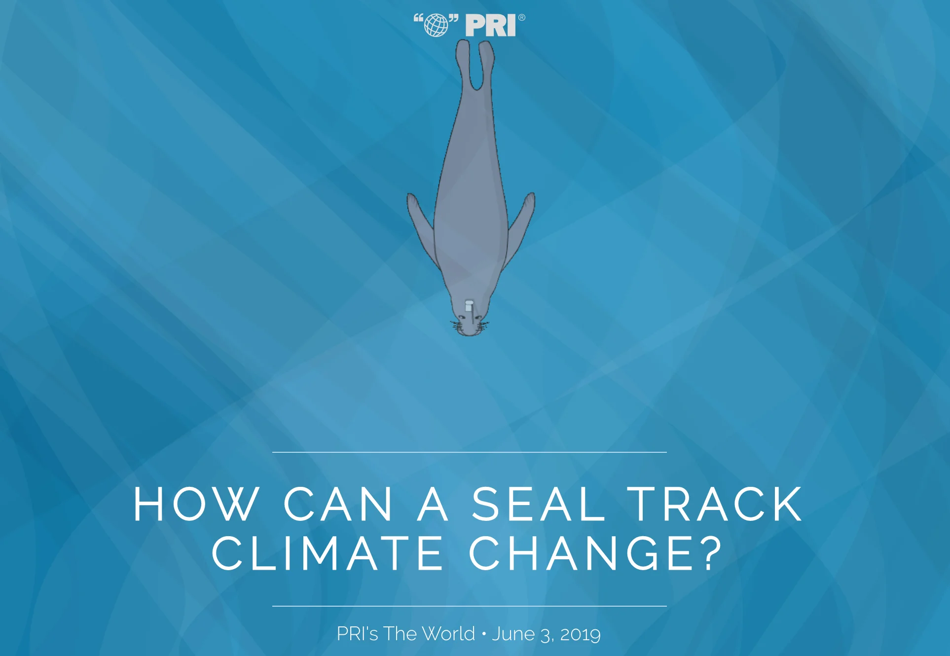seal.jpg