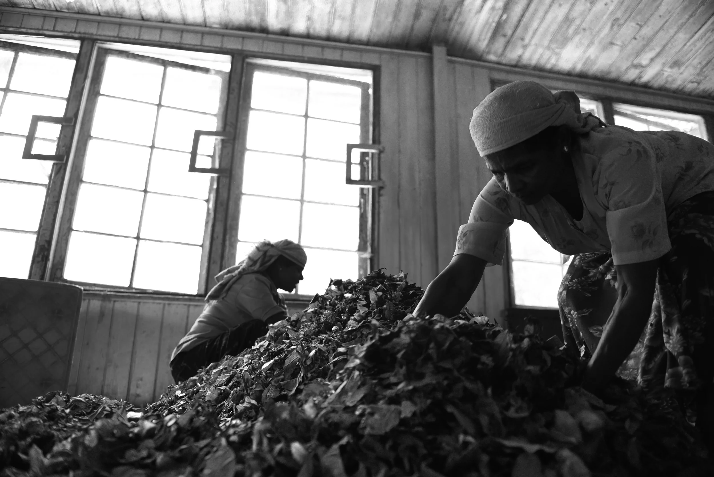 Sri Lanka - using modern slaves for tourism