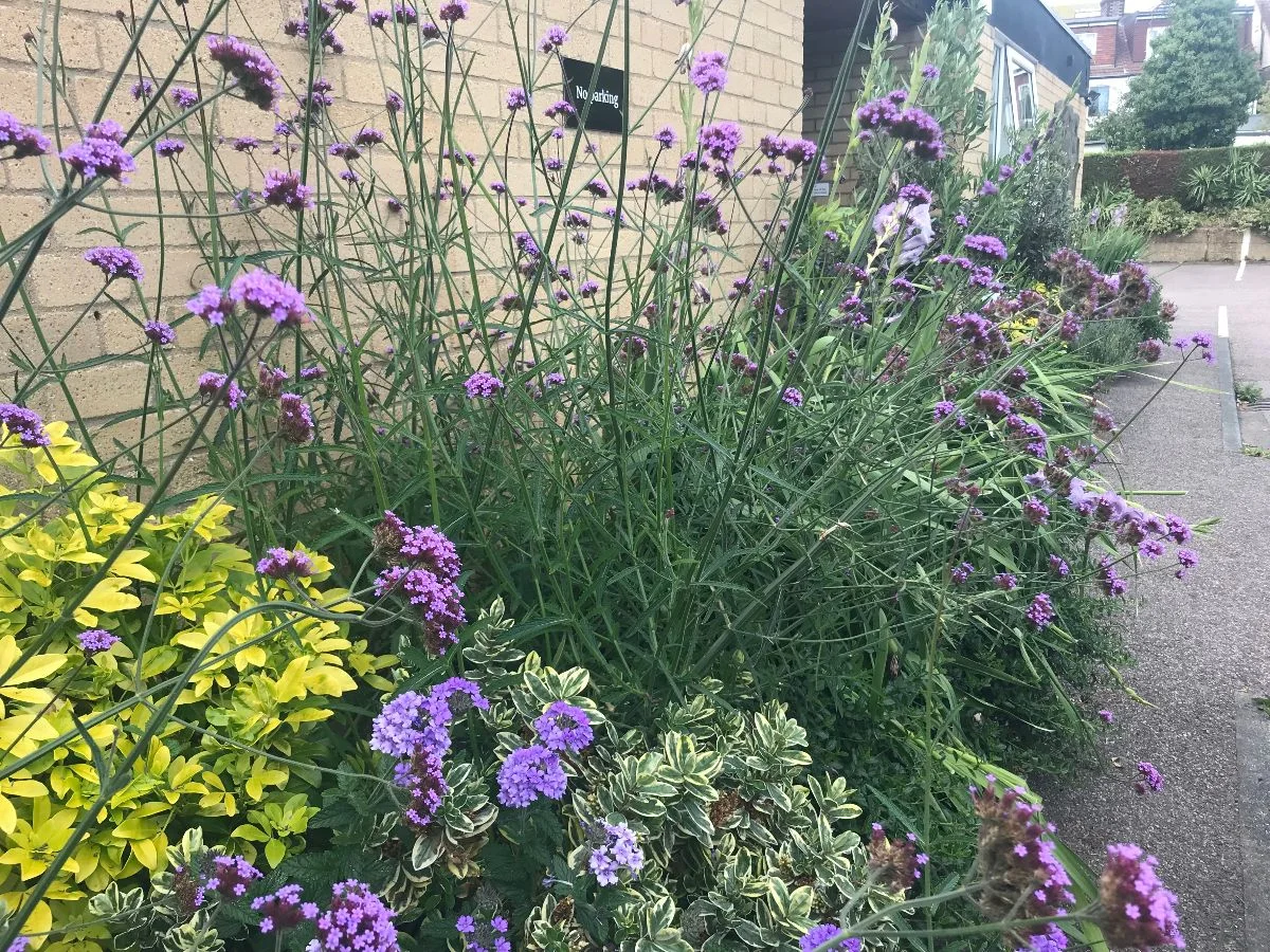 TftW 060919.jpg