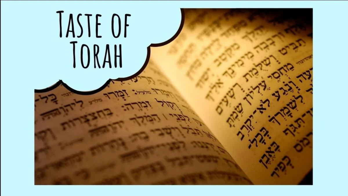 Taste of Torah with Rabbi Rebecca