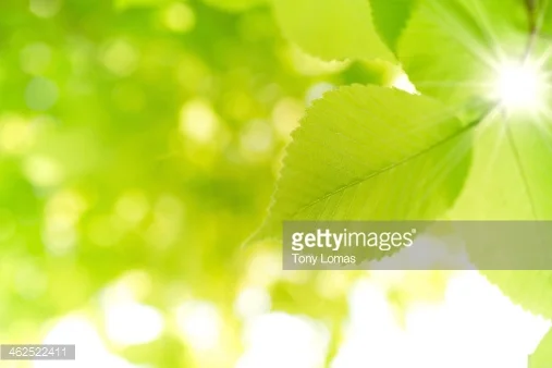 The Complexities of Change, and being a Human Being