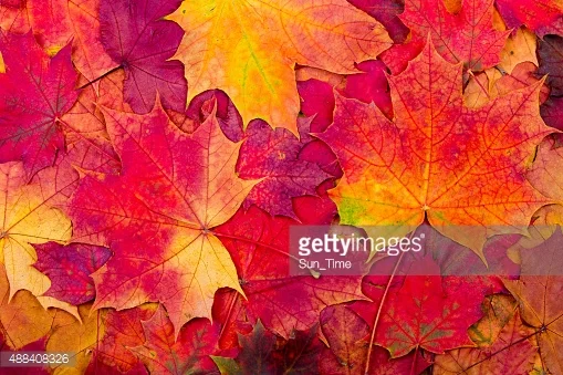 Please fall. You'll thank me later (hopefully).