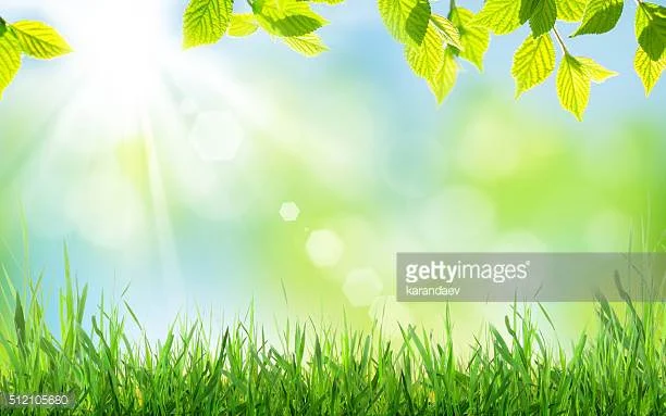 Time for a (Mental Health) Spring Cleanse