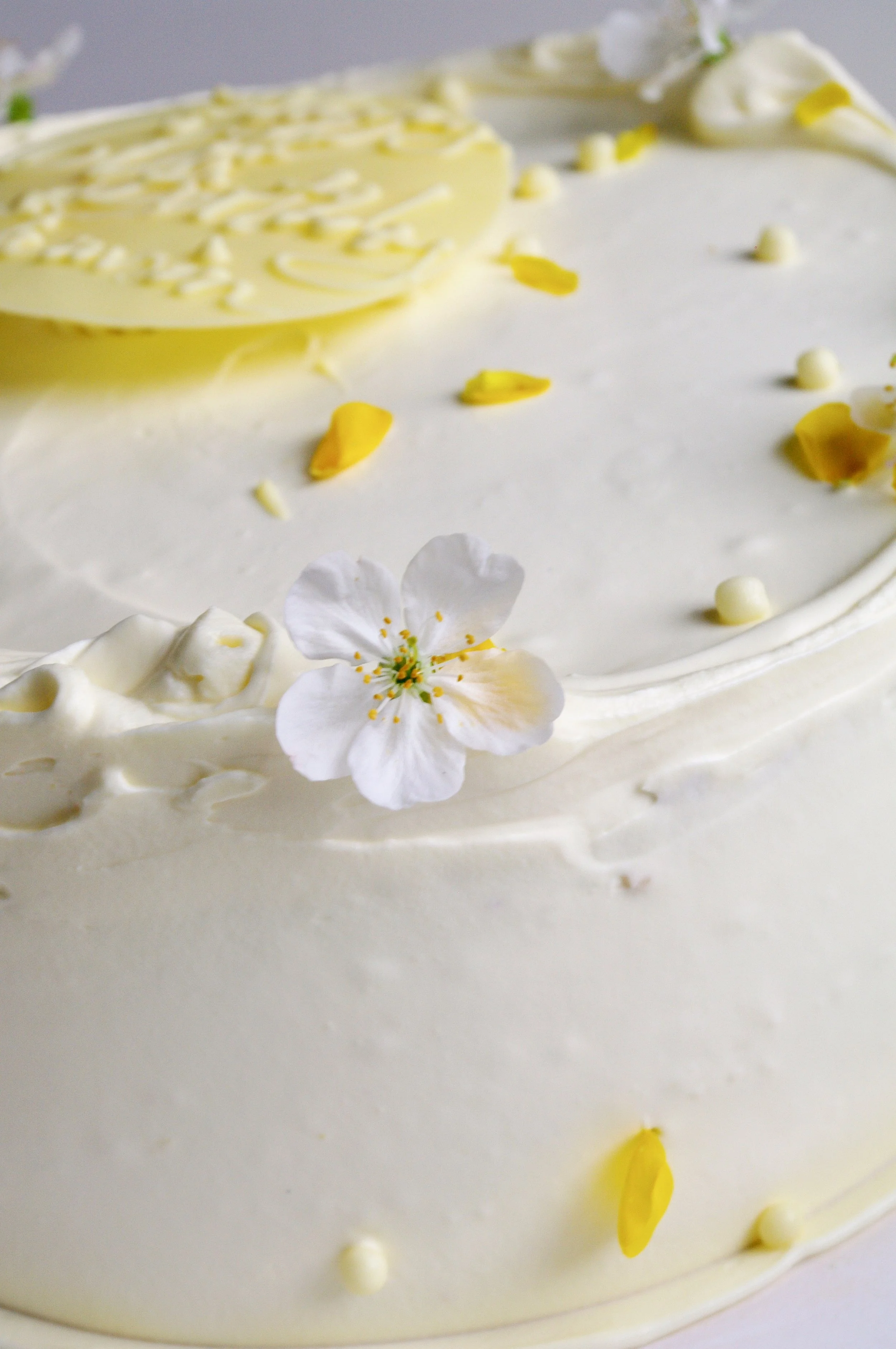 White Chocolate Cake 