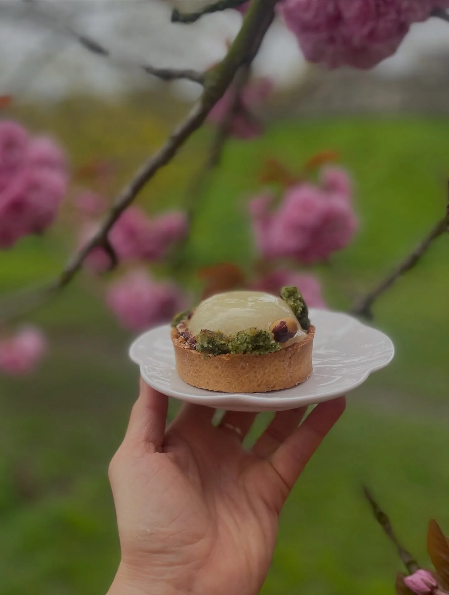 🌸💚Nettle - Hazelnut Tart.
We are just by the city walls off Victoria Bar. Come and enjoy the views of #yorkshakura cherry blossom trees and taste our seasonal treats. #york #yorkwall #patisserie #shutishuti #hanami