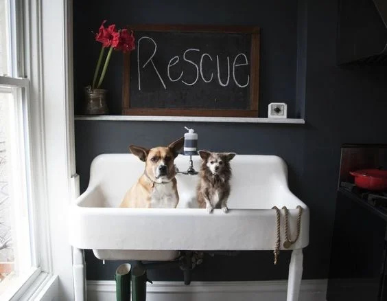 Via Remodelista