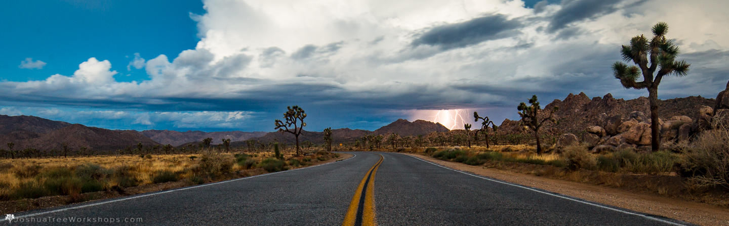 Plan Your Trip — Joshua Tree Visitors Guide