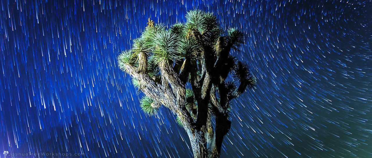 Night Sky Festival — Joshua Tree Visitors Guide