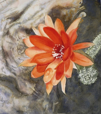 Deane Locke
