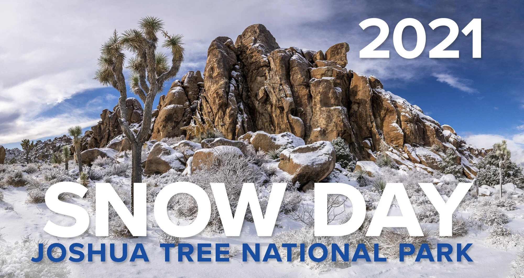 joshua tree guided hikes