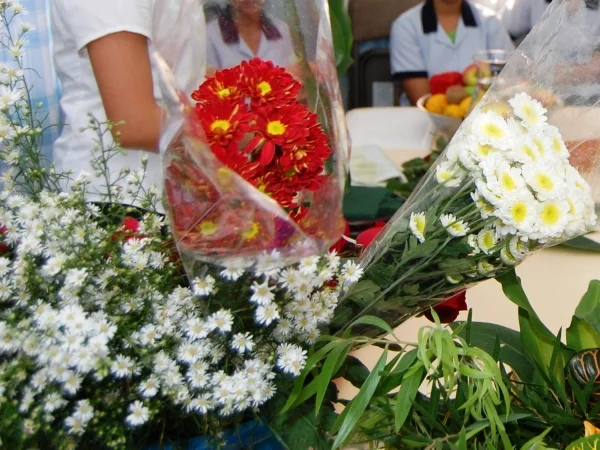flowers arrangement class 7.jpg