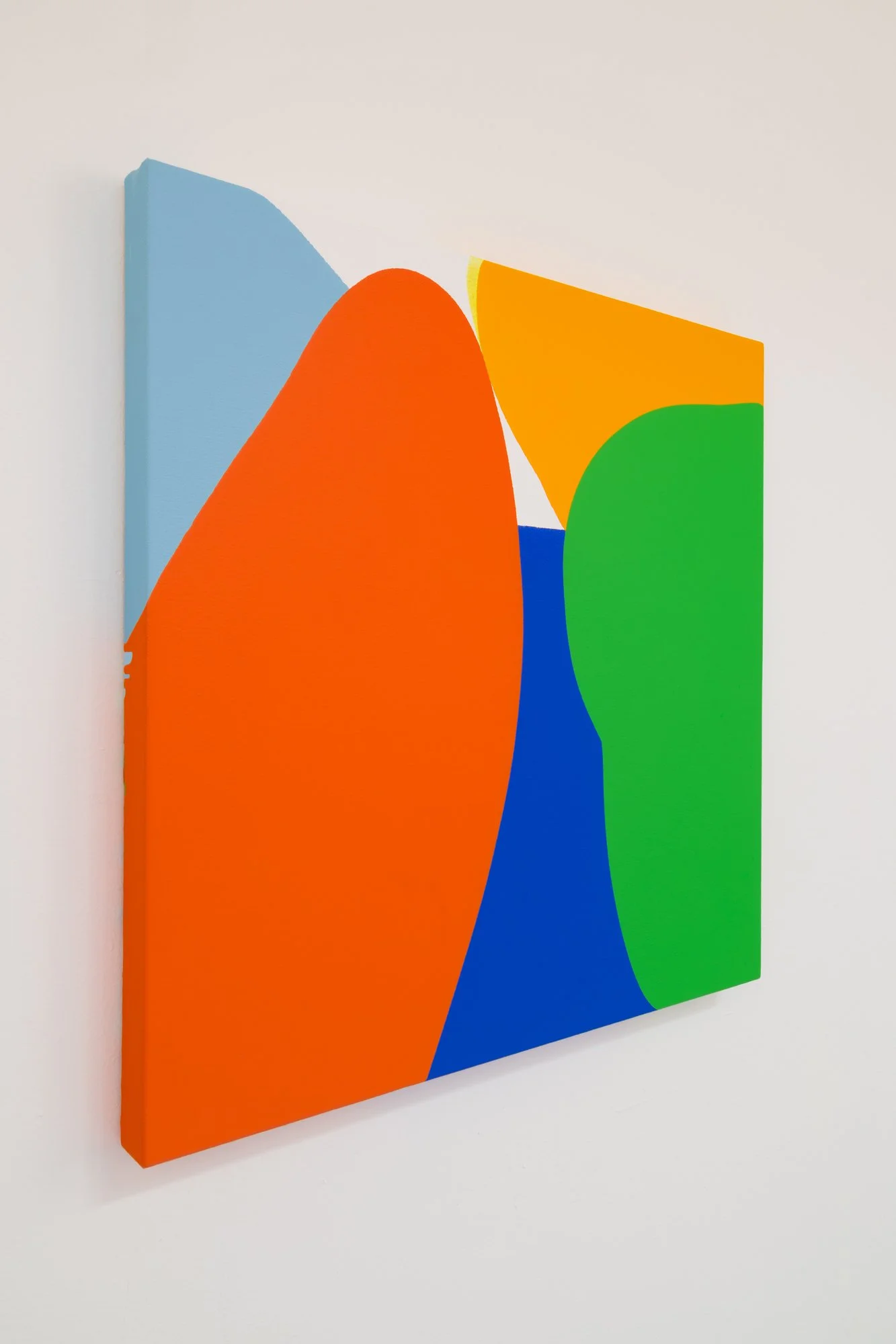 Songbirds (side view)