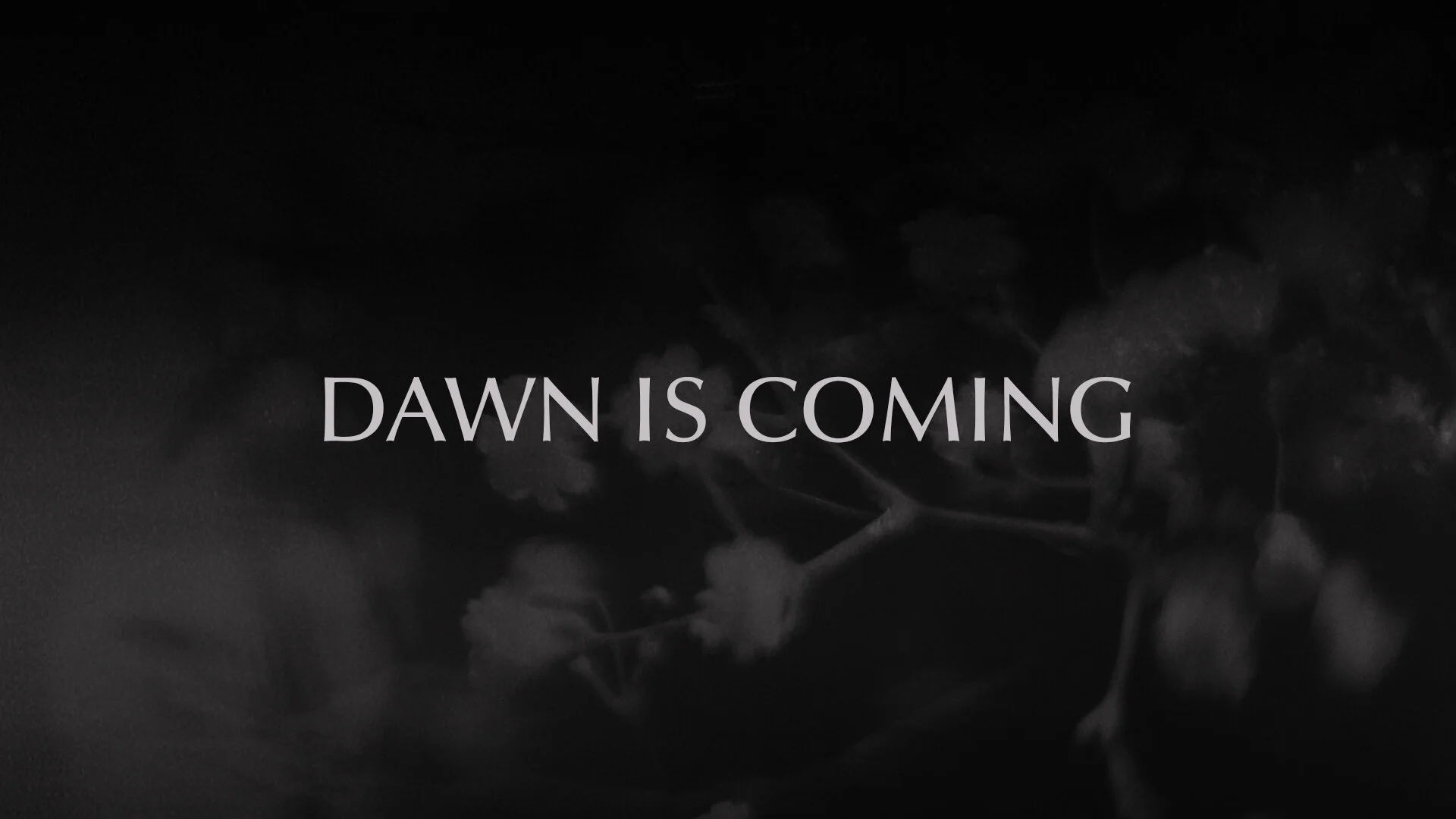 Dawn Is Coming