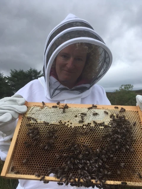 I braved the bees and suited up to get a closer look!