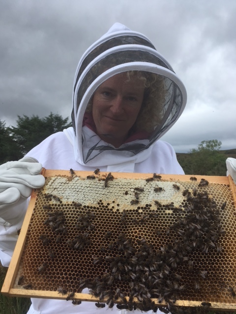 I braved the bees and suited up to get a closer look!