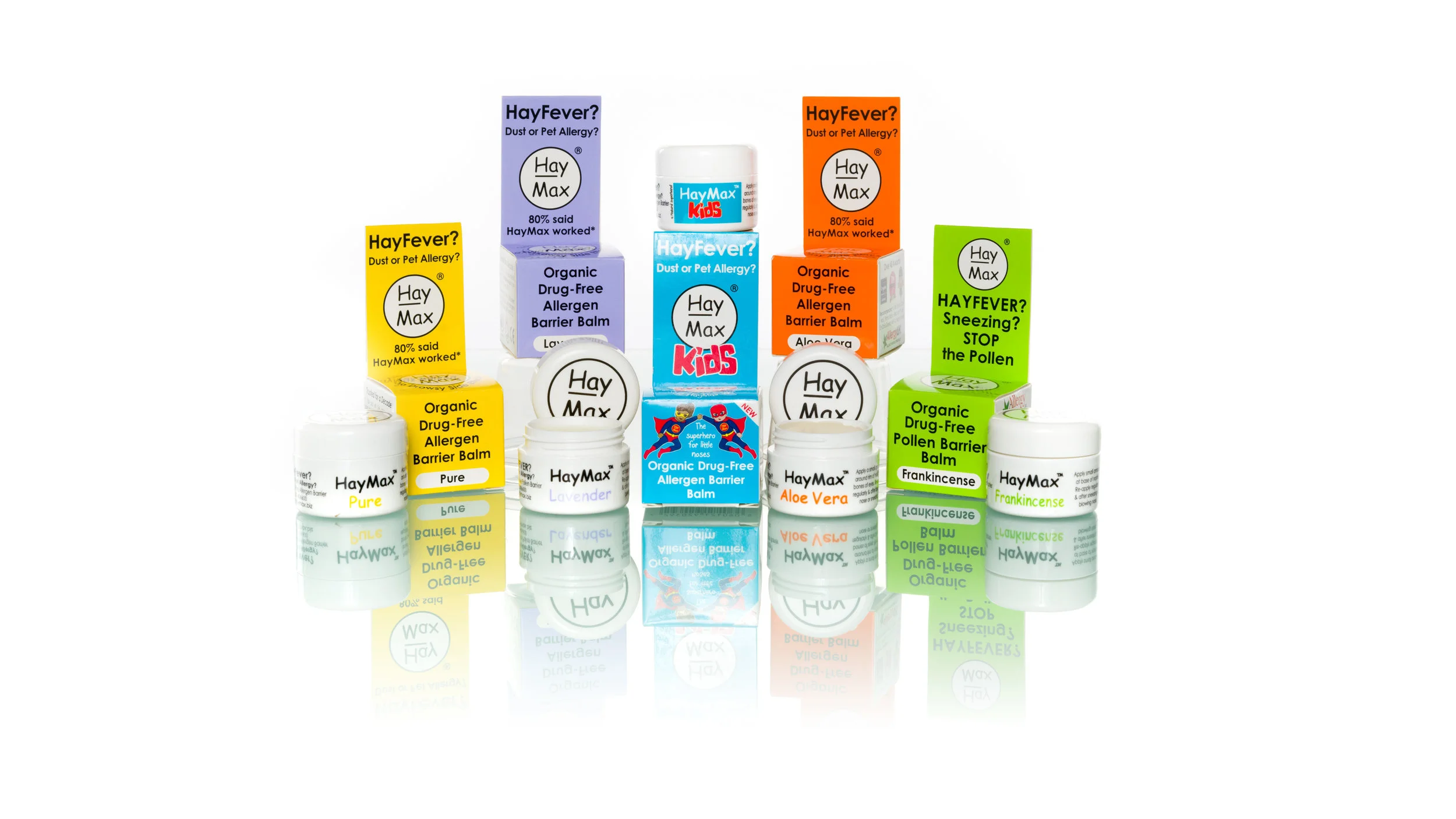 HayMax group Shot RGB.jpg