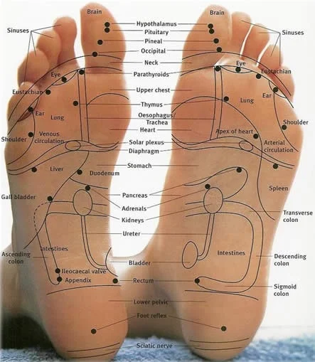 Reflexology.jpg