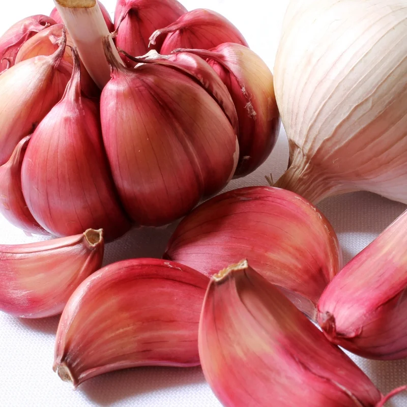 Garlic.jpg