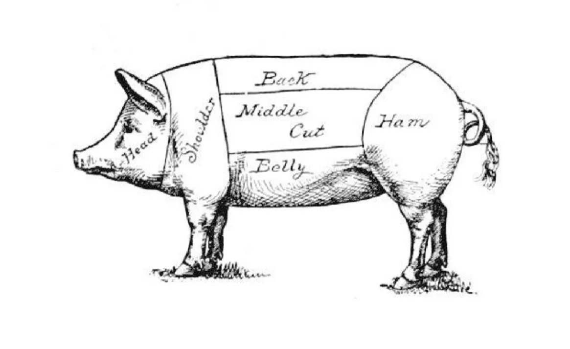 Odd Food—Pig Trotter pt. 1: An introduction
