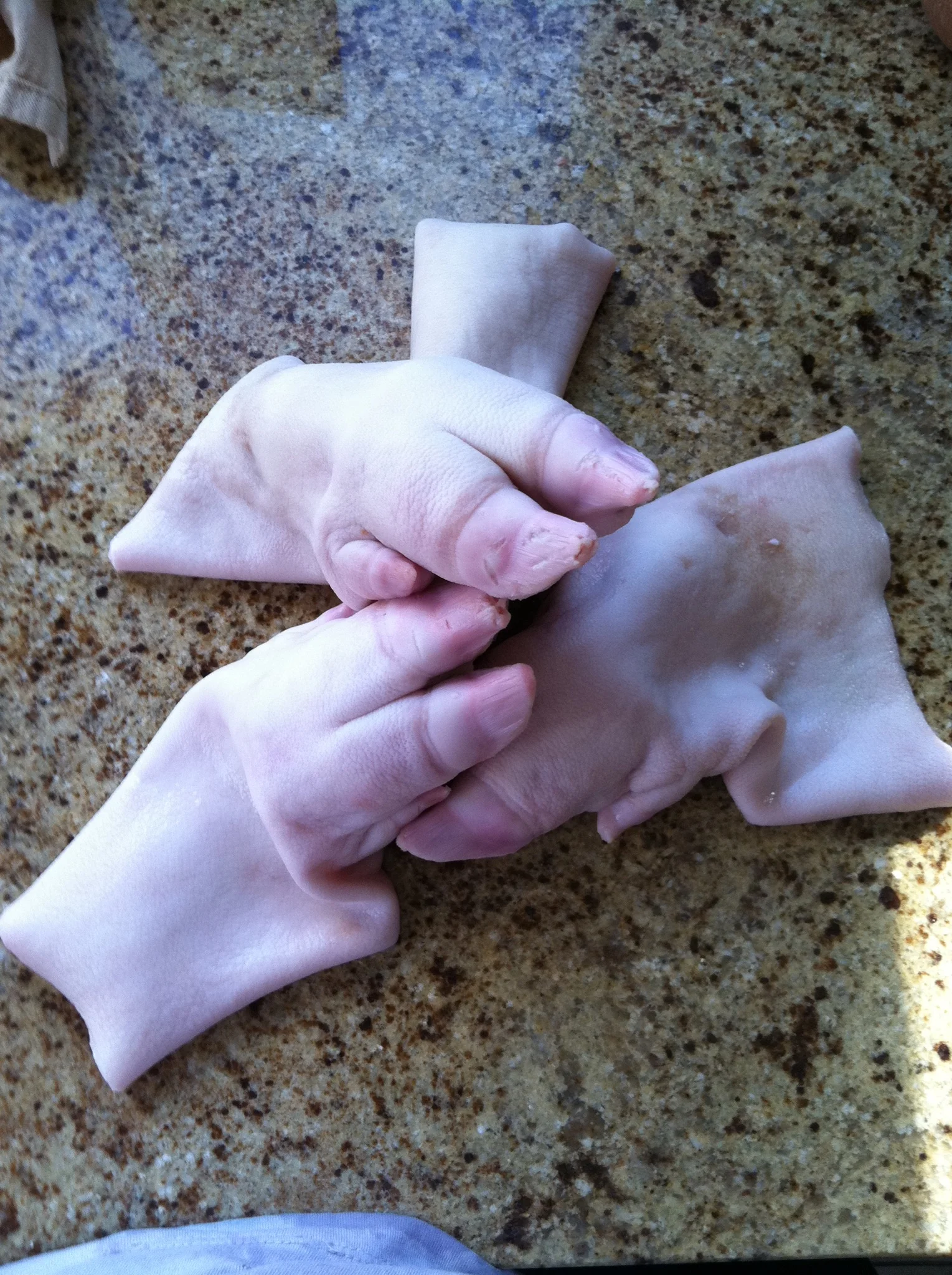 Odd Food—Pig Trotter pt. 3: Cooking Time!