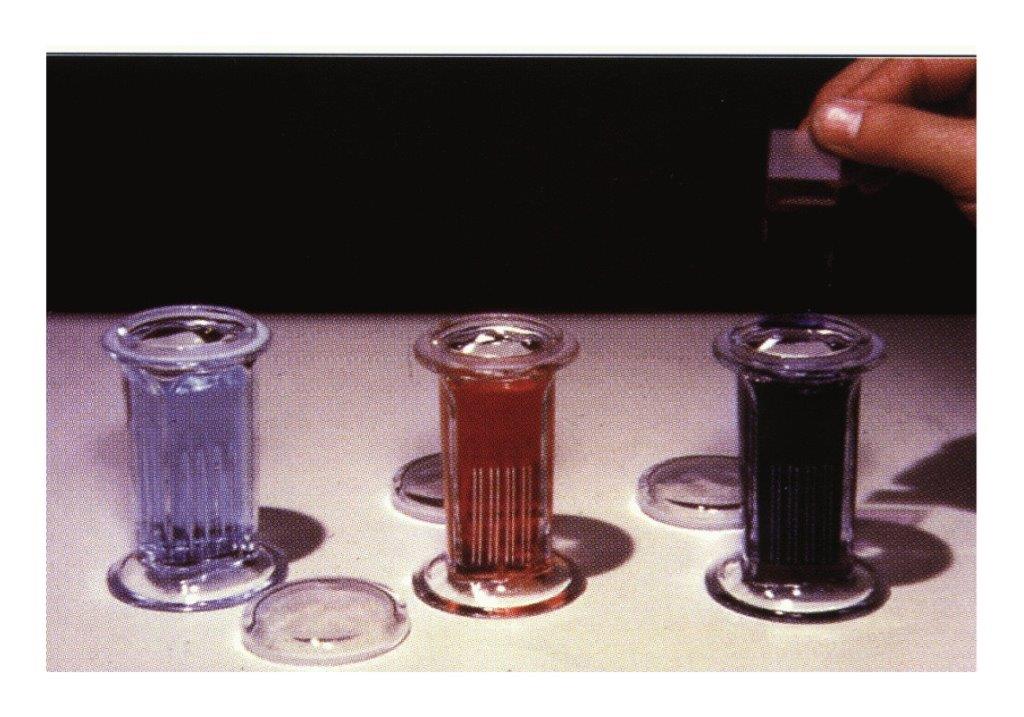 Quick III Stain Set / ast5316