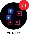 sca_vitality_logo_english.jpg