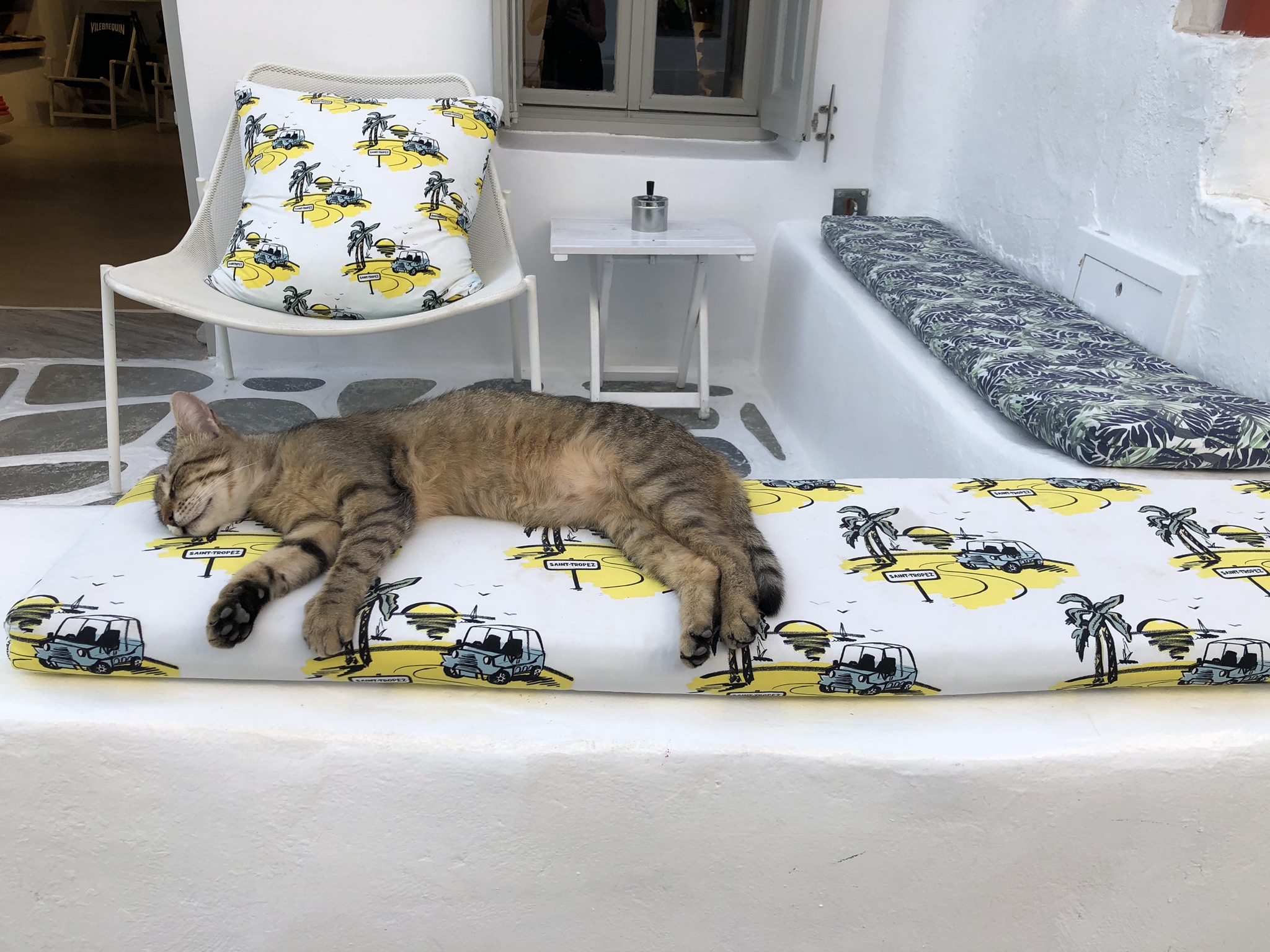 Fun fact: there are cats all over the islands. I happen to love cats, so I took a ton of pictures of them. Usually they were just adorably lounging in the sun or the shade :)