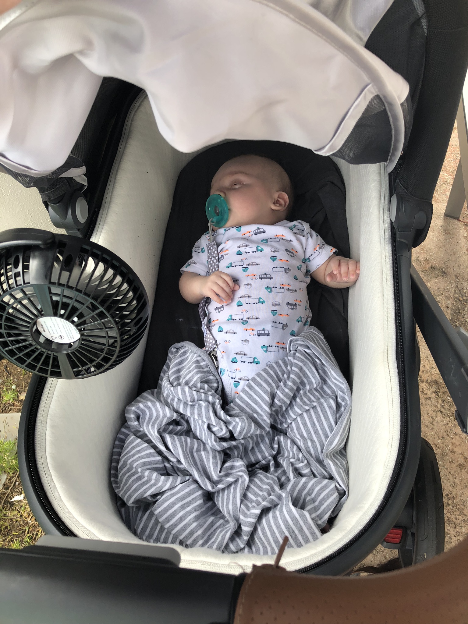 baby beach stroller