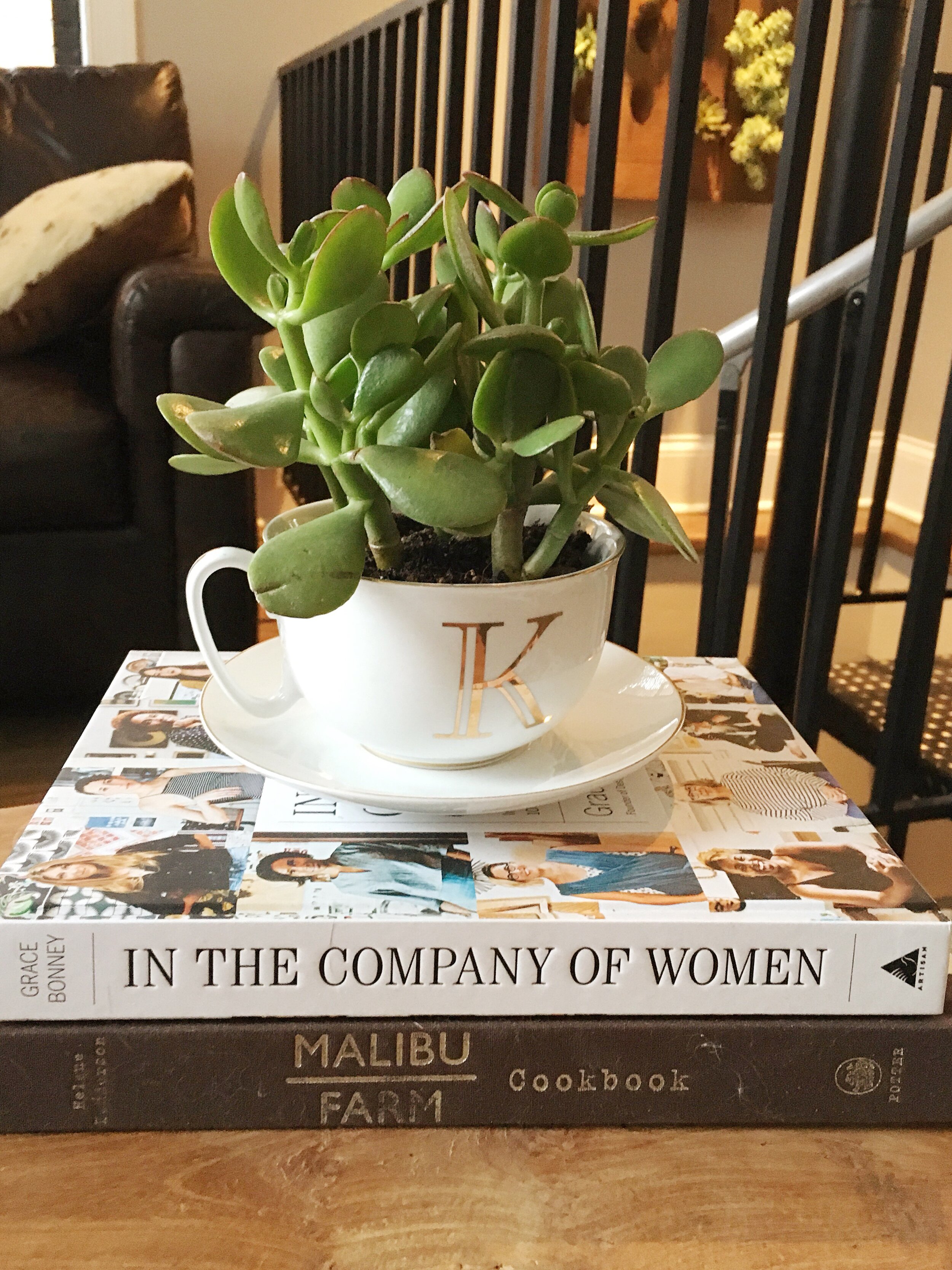 in the company of women coffee table book