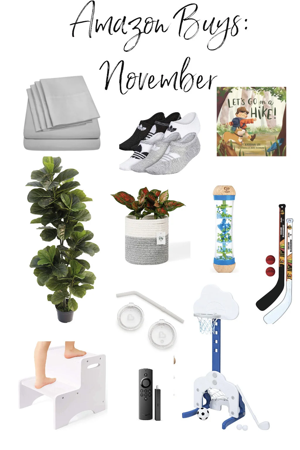 Amazon Buys: November