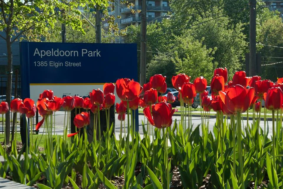 apeldoornpark.jpg