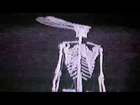 Internet Feels - Skeleton