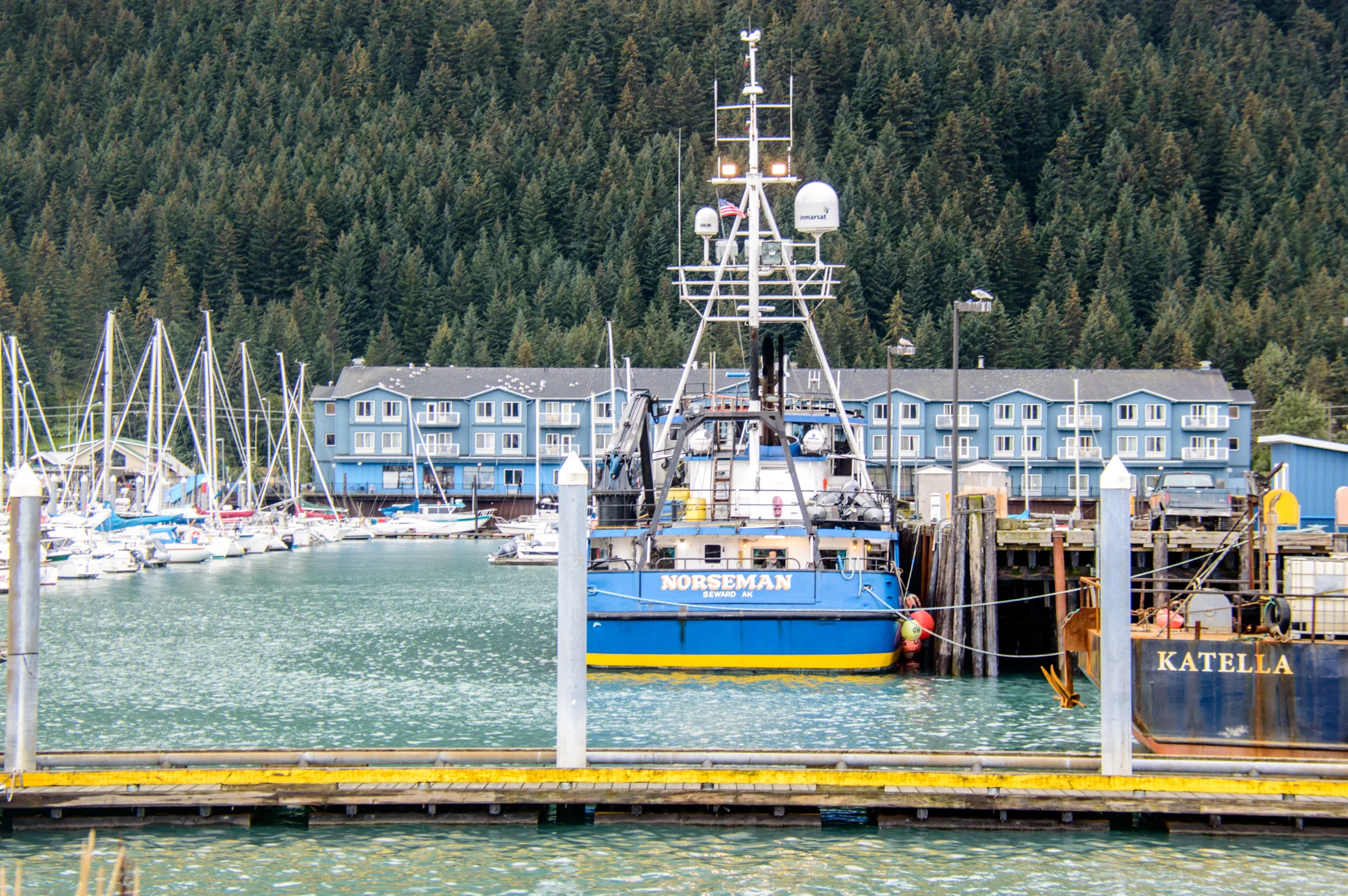 DSC_1133.jpg