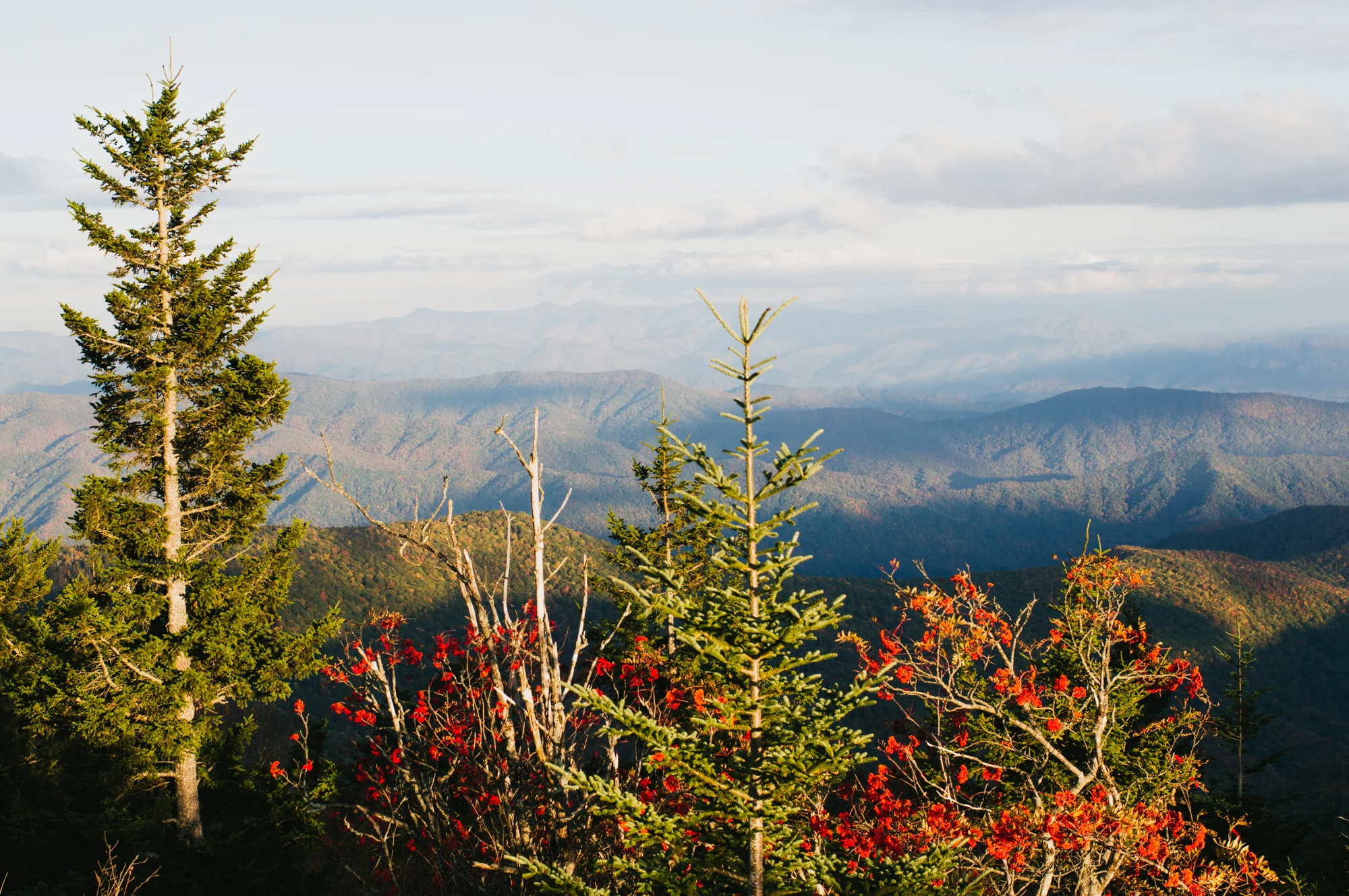 DSC_0009-3.jpg