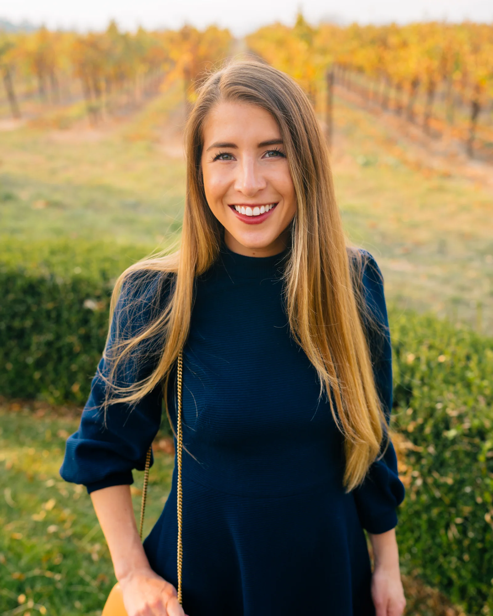 gal meets glam maggie dress