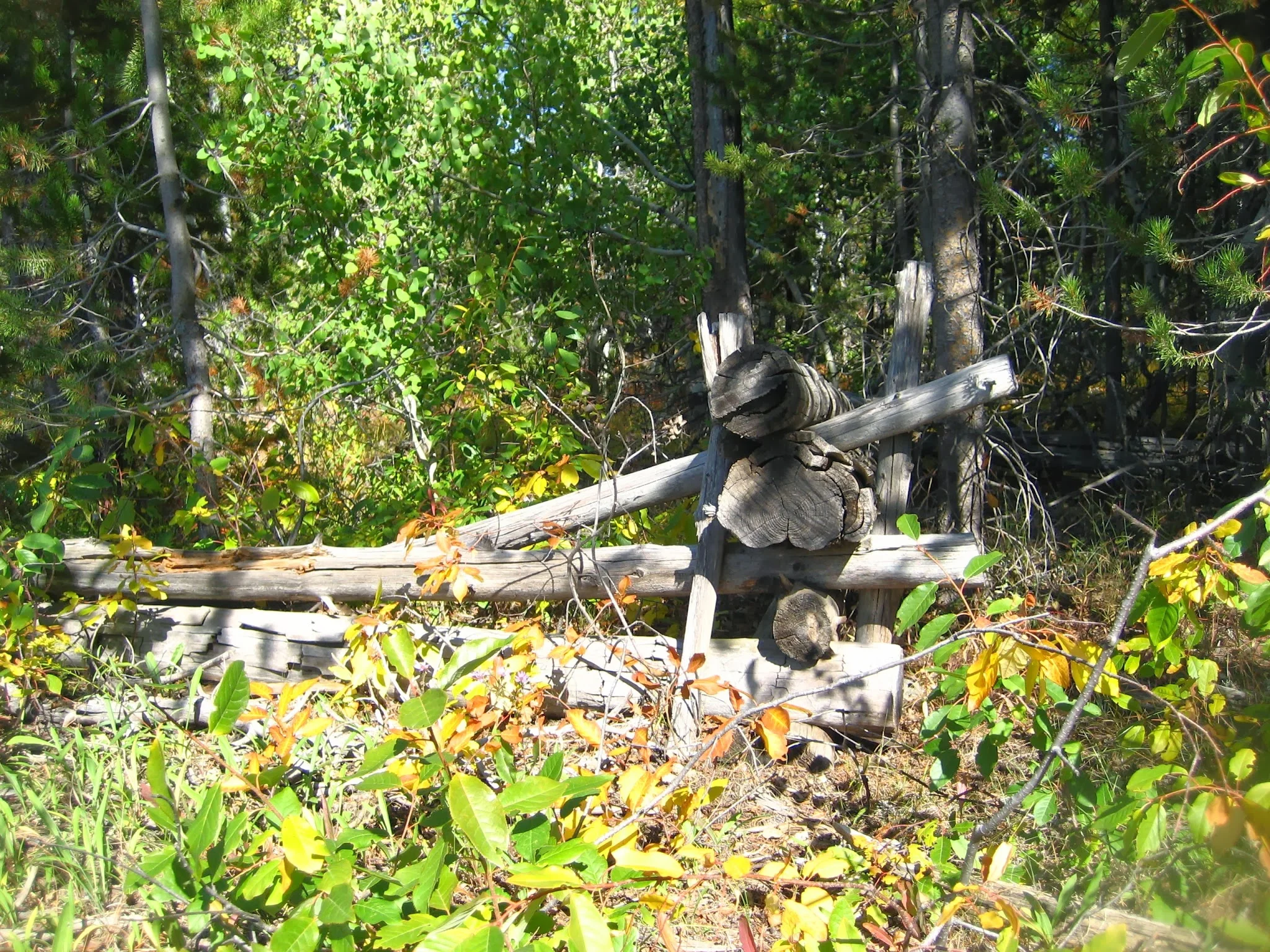 fence.JPG