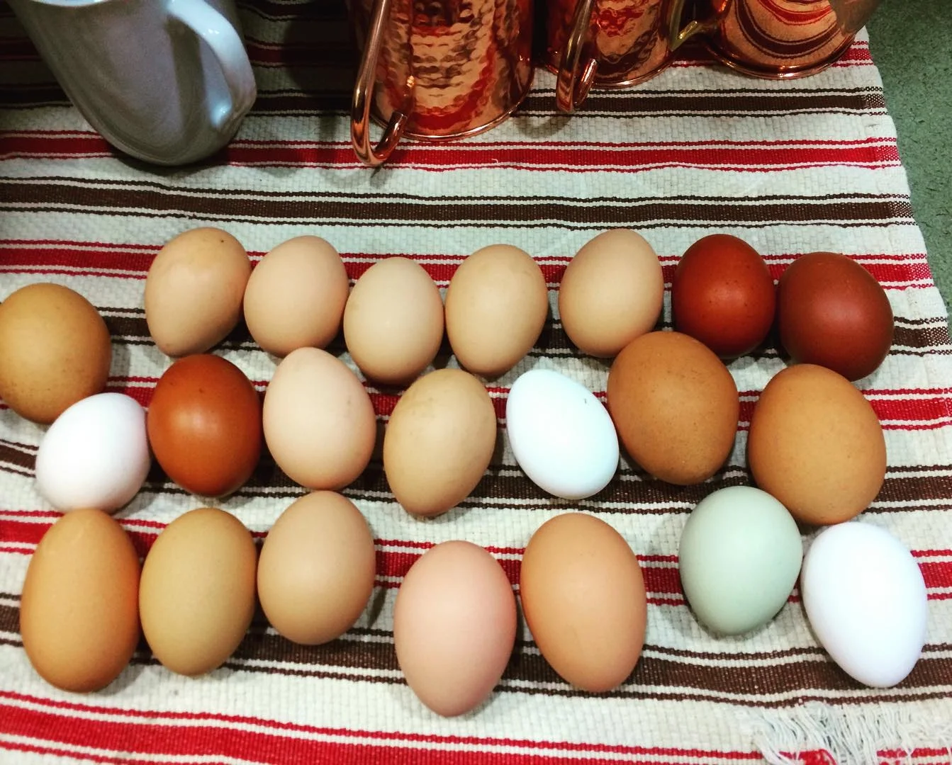 eggs.jpg