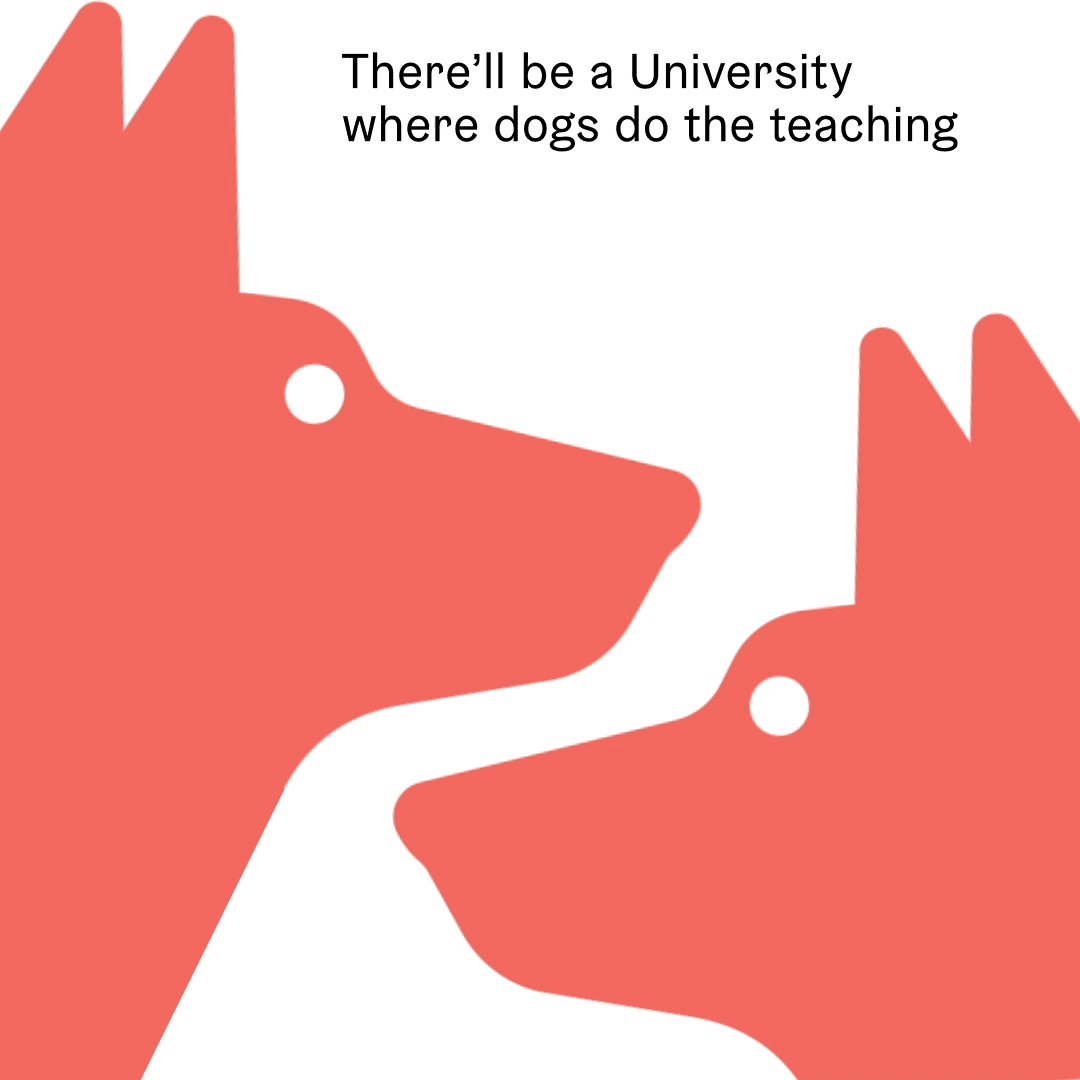 Animals of Manchester Animation