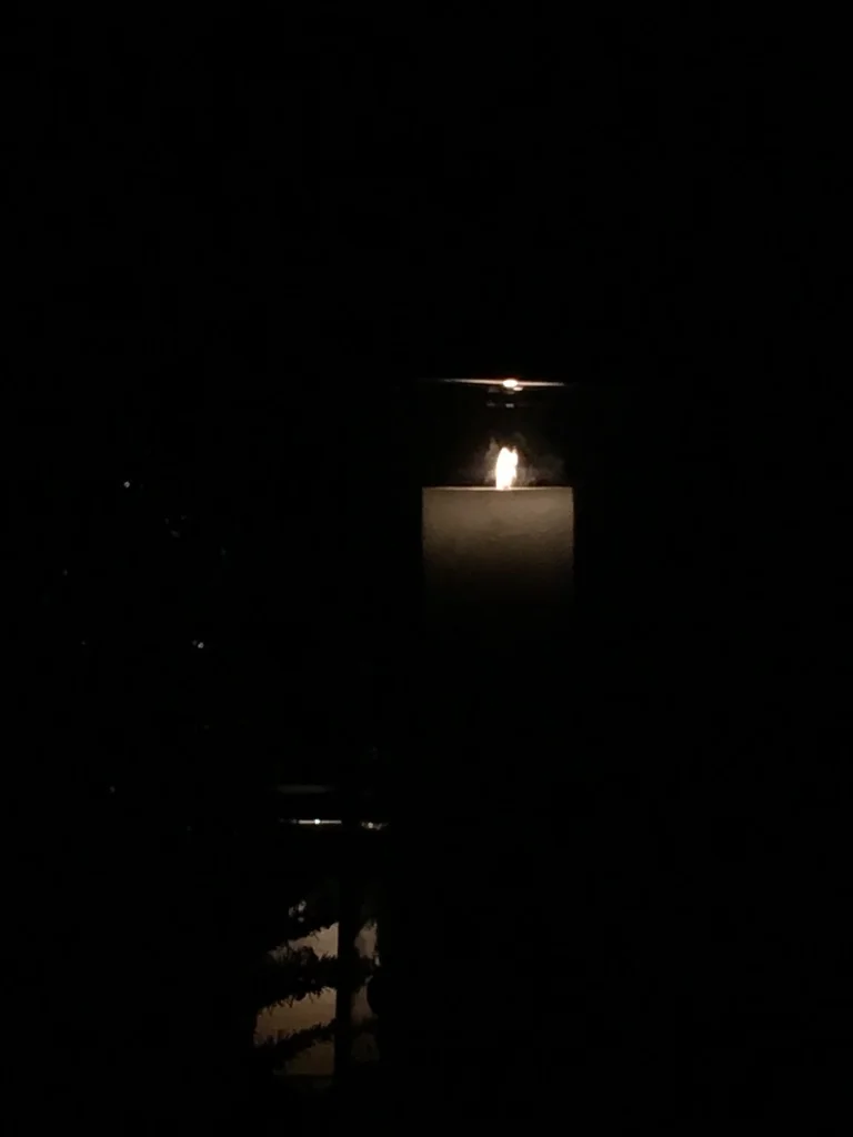  In the dark of night this flame holds the promise of the coming light. - H.C.Love Do you know how to shine? You are like a flame in the absence of a blow of breeze. The flame stands still only when there is no breeze. Now you stand in your own form. - 6-19 Master E.K.