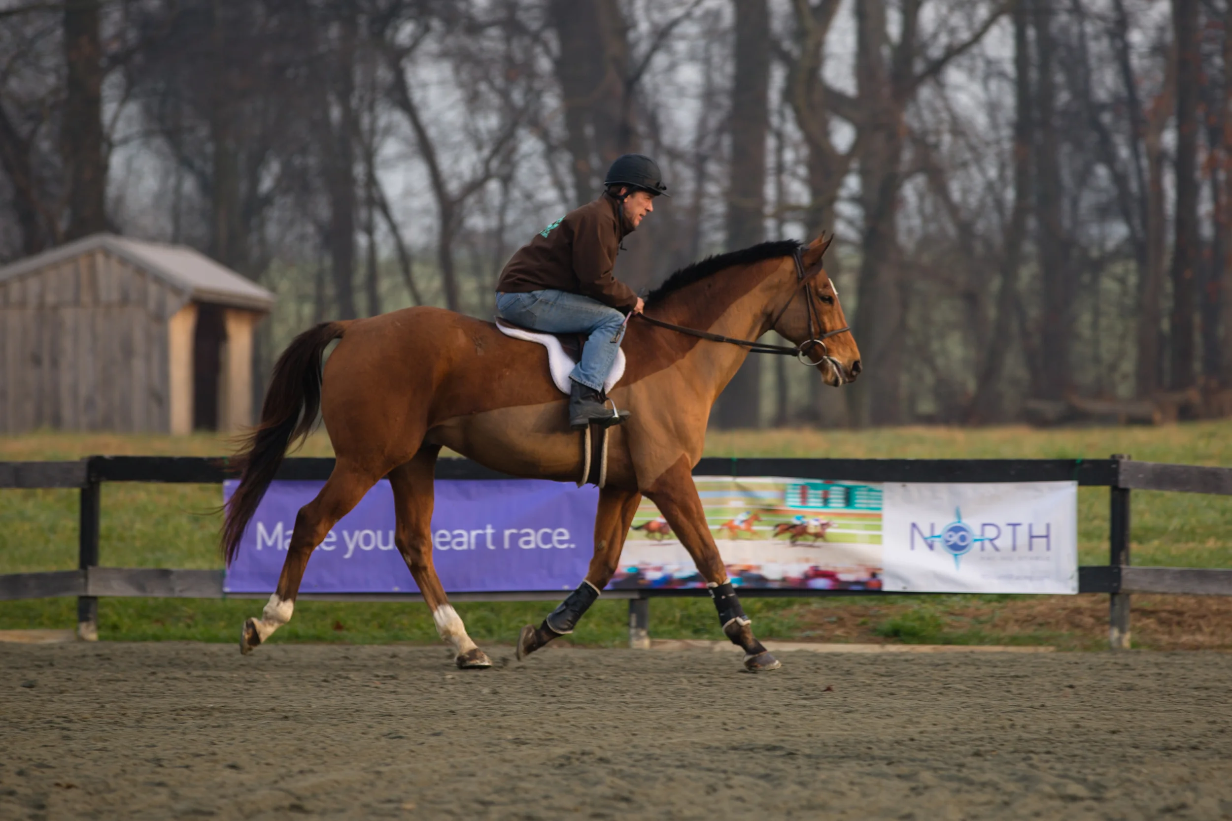 Covert OTTB Clinic (42 of 492).jpg