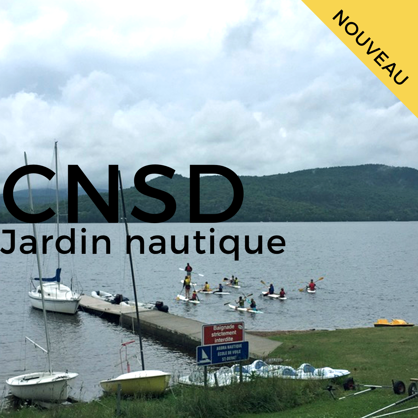 CNSD_JN_2017.png